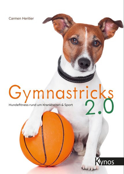Gymnastricks 2.0: Hundefitness rund um Krankheit & Sport