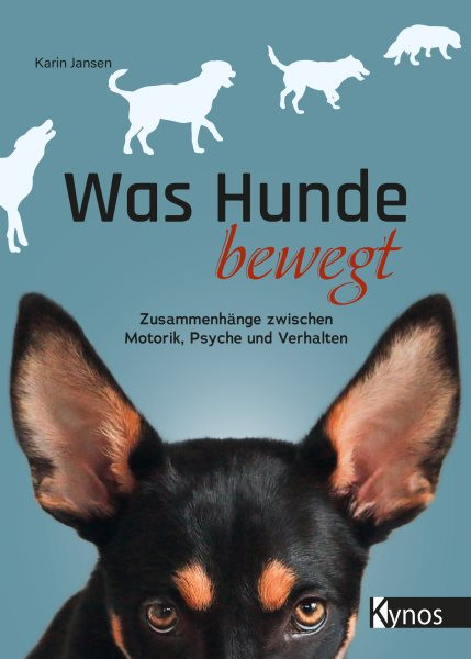 Was Hunde bewegt: Zusammenhange zwischen Motorik, Psyche und Verhalten