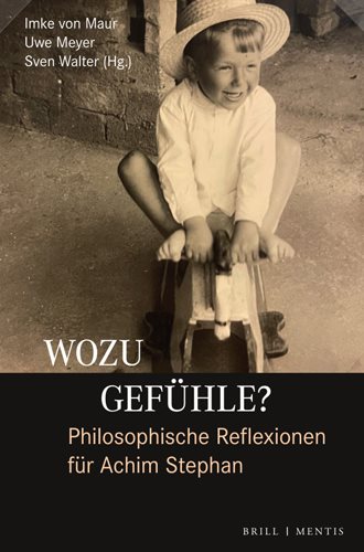 Wozu Gefuhle? Philosophische Reflexionen Fur Achim Stephan