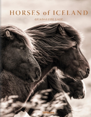 Horses of Iceland