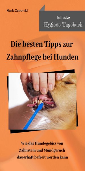 Die besten Tipps zur Zahnpflege bei Hunden: Wie das Hundegebiss von Zahnstein und Mundgeruch dauerhaft befreit werden kann