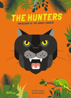 Hunters: Predators of the Animal Kingdom