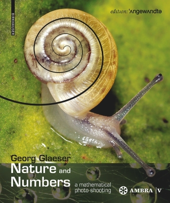 Nature and Numbers: A Mathematical Photo Shooting