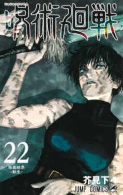 F.E. Jujutsu Kaisen 22