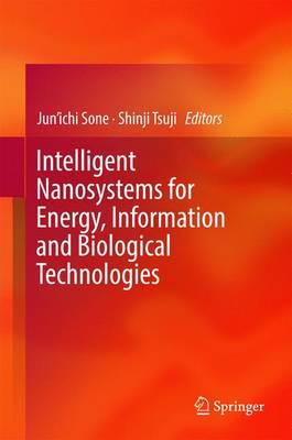 Intelligent Nanosystems for Energy, Information and Biological Technologies 1st ed. 2016