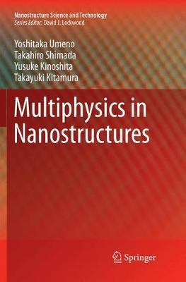 Multiphysics in Nanostructures Softcover reprint of the original 1st ed. 2017