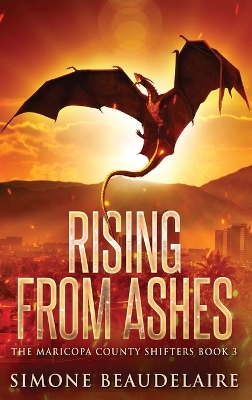 Rising from Ashes Large type / large print edition