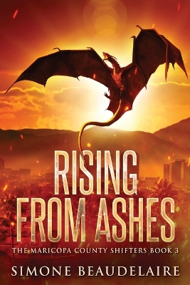 Rising from Ashes Large type / large print edition