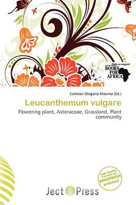 Leucanthemum Vulgare