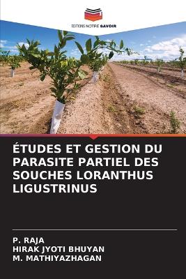 Études Et Gestion Du Parasite Partiel Des Souches Loranthus Ligustrinus