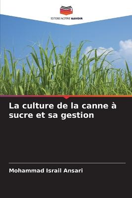 culture de la canne à sucre et sa gestion