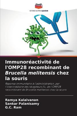Immunoréactivité de l'OMP28 recombinant de Brucella melitensis chez la souris