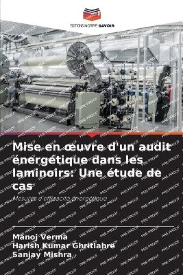Mise en oeuvre d'un audit énergétique dans les laminoirs: Une étude de cas