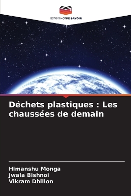Déchets plastiques: Les chaussées de demain