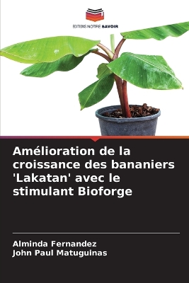 Amélioration de la croissance des bananiers 'Lakatan' avec le stimulant  Bioforge