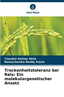 Trockenheitstoleranz bei Reis: Ein molekulargenetischer Ansatz