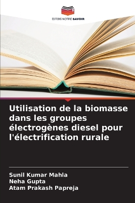 Utilisation de la biomasse dans les groupes électrogènes diesel pour  l'électrification rurale