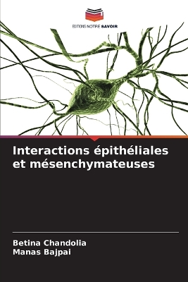 Interactions épithéliales et mésenchymateuses