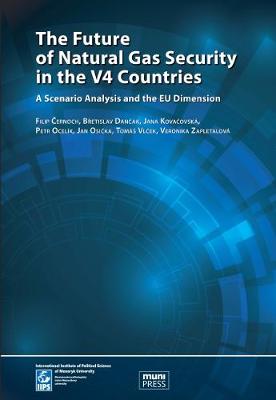 Future of Natural Gas Security in the V4 Countries: A Scenario Analysis and the EU Dimension 2011
