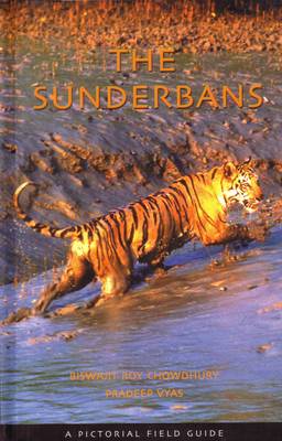 Sunderbans