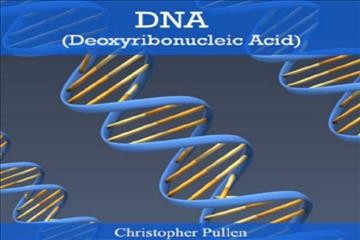 DNA (Deoxyribonucleic Acid)