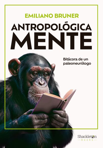 AntropolÃ³gica Mente: Bitacora de un paleoneurolgo