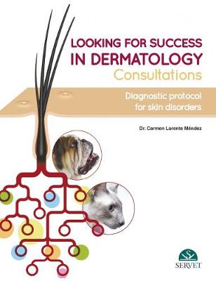 Looking for Success in Dermatology Consultations. Diagnostic Protocol for  Skin Disorders