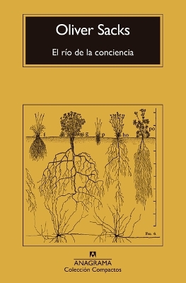 Rio de la Conciencia