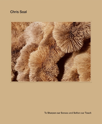 Chris Soal: To Sharpen our Senses and Soften our Touch