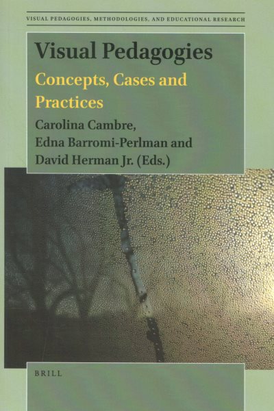 Visual Pedagogies: Concepts, Cases and Practices