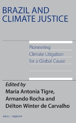 Brazil and Climate Justice: Pioneering Climate Litigation for a Global Cause