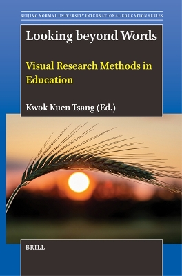 Looking beyond Words: Visual Research Methods in Education