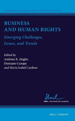 Business and Human Rights: Emerging Challenges, Issues, and Trends