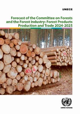 Forecast of the Committee on Forests and the Forest Industry: Forest  Products Production and Trade 2024-2025