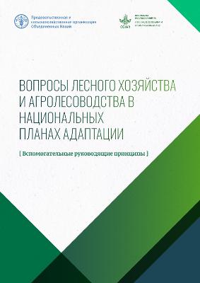 Addressing forestry and agroforestry in National Adaptation Plans