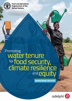 Promoting water tenure for food security, climate resilience and equity: Workshop report