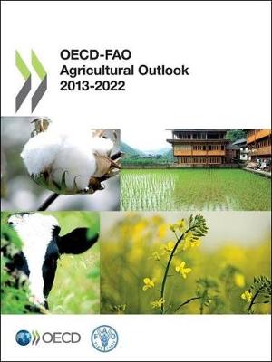 OECD-FAO Agricultural Outlook 2013