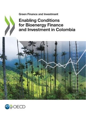 Enabling conditions for bioenergy finance and investment in Colombia
