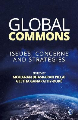 Global Commons: Issues, Concerns and Strategies