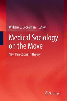 Medical Sociology on the Move: New Directions in Theory 2013 ed.