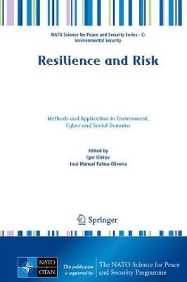 Resilience and Risk: Methods and Application in Environment, Cyber and Social Domains