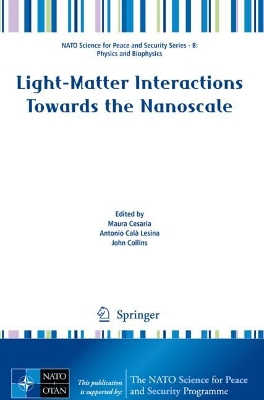 Light-Matter Interactions Towards the Nanoscale 2022 ed.