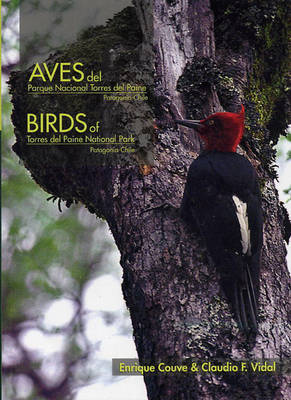 Aves / Birds Torres del Paine: Guia de Campo / Field Guide 2nd Revised edition