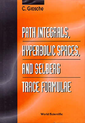 Path Integrals, Hyperbolic Spaces And Selberg Trace Formulae