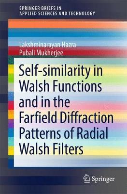 Self-similarity in Walsh Functions and in the Farfield Diffraction Patterns  of Radial Walsh Filters 1st ed. 2018
