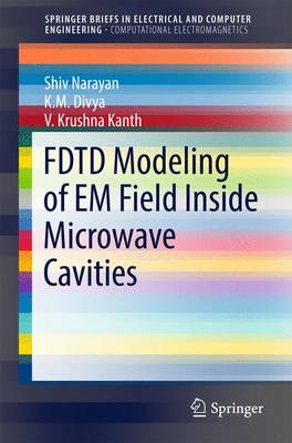 FDTD Modeling of EM Field inside Microwave Cavities 1st ed. 2017