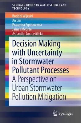 Decision Making with Uncertainty in Stormwater Pollutant Processes: A Perspective on Urban Stormwater Pollution Mitigation 2019 ed.