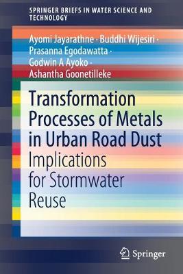 Transformation Processes of Metals in Urban Road Dust: Implications for Stormwater Reuse 2020 ed.