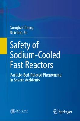 Safety of Sodium-Cooled Fast Reactors: Particle-Bed-Related Phenomena in Severe Accidents