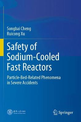 Safety of Sodium-Cooled Fast Reactors: Particle-Bed-Related Phenomena in Severe Accidents 2021 ed.